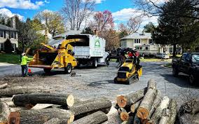 Best Arborist Consultation Services  in Redwood Valley, CA