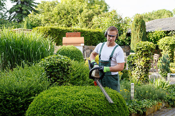 Best Seasonal Cleanup (Spring/Fall)  in Redwood Valley, CA